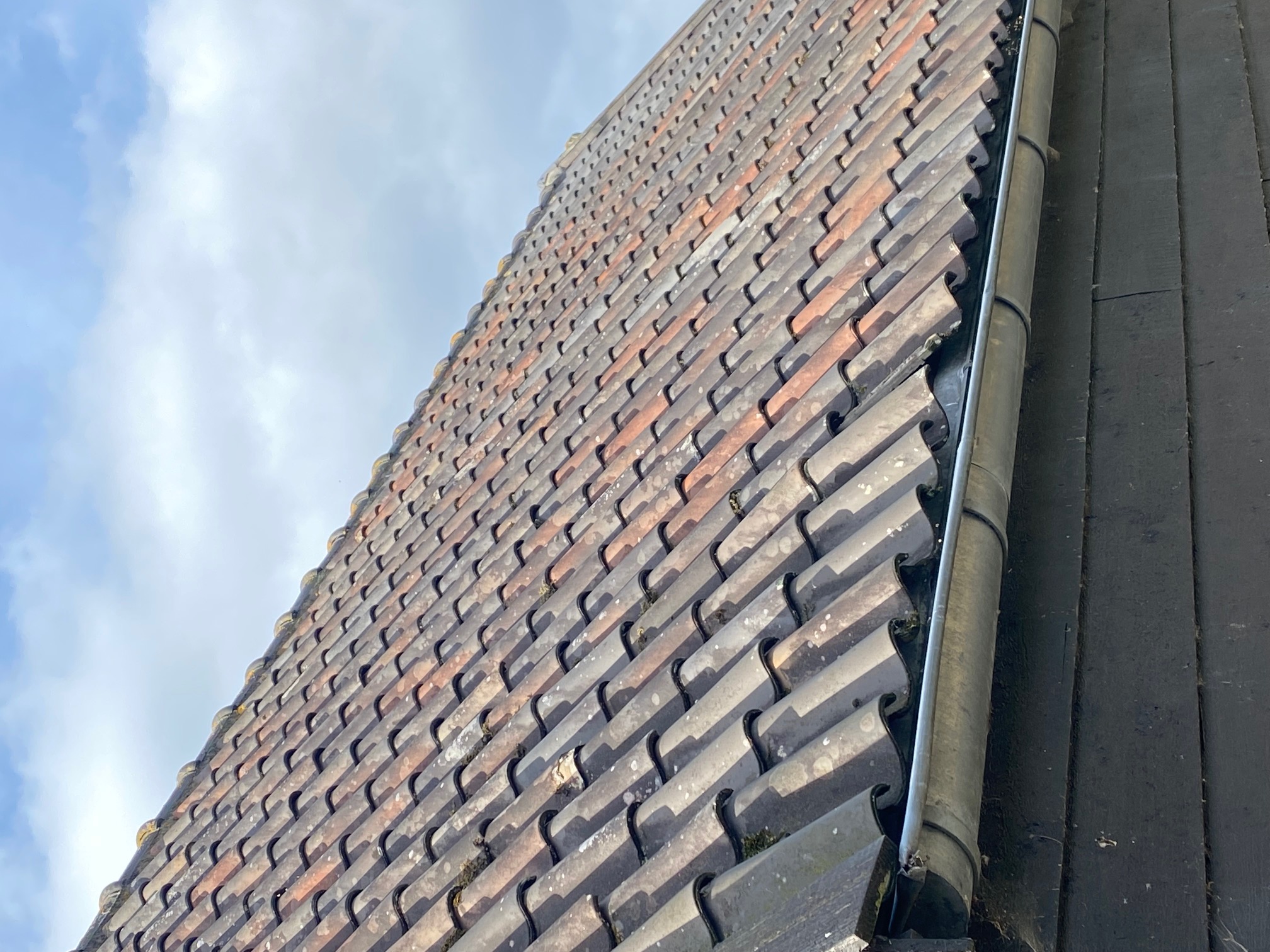 Schuur naar kantoor & guesthouse